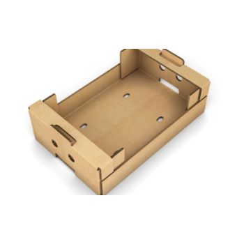 Cardboard Trays For Fruits Cans Drinks Cardboard Trays For Fruits Cans Drinks